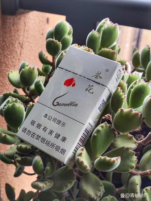 正品香烟茶花香烟(茶花香烟价格表图,茶花烟价格表和图片大全)|低价香烟网